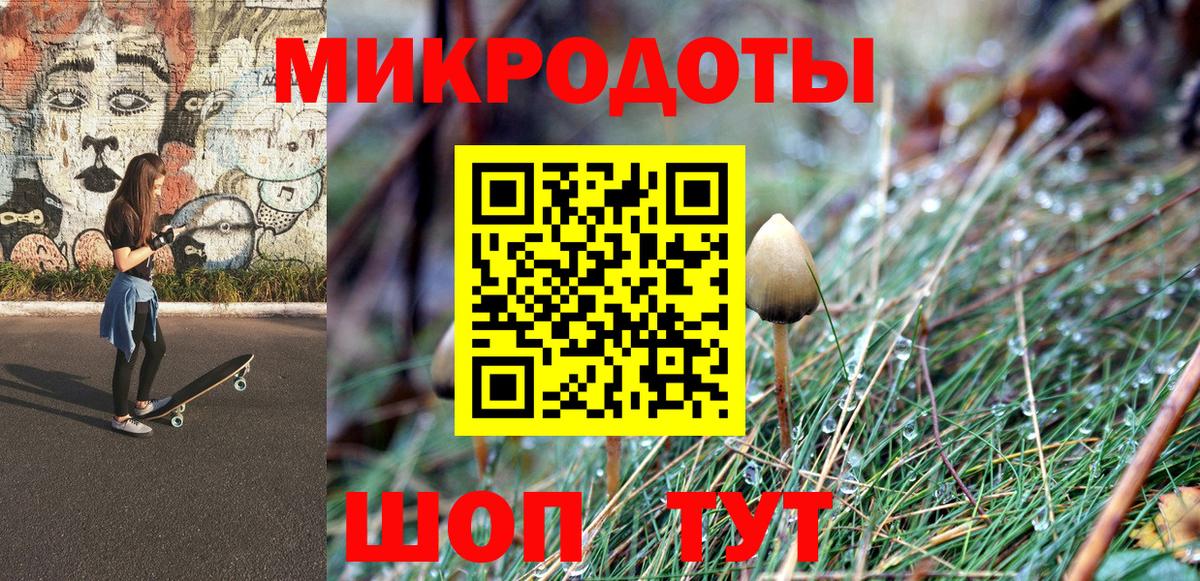 Галлюциногенные грибы мухоморы Камышин