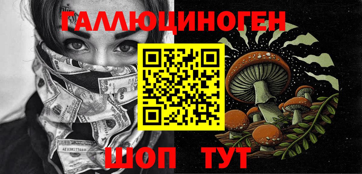 Камышин  Псилоцибиновые грибы GOLDEN TEACHER  Вход с VPN  Псилоцибиновые грибы прущие грибы 